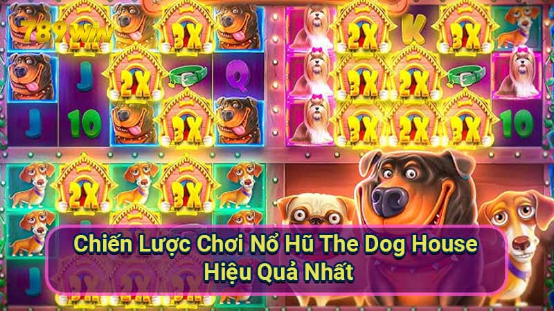 chien-luoc-choi-no-hu-the-dog-house-hieu-qua-nhat