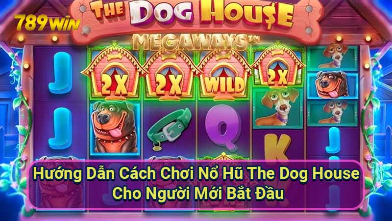 huong-dan-cach-choi-no-hu-the-dog-house-cho-nguoi-moi-bat-dau