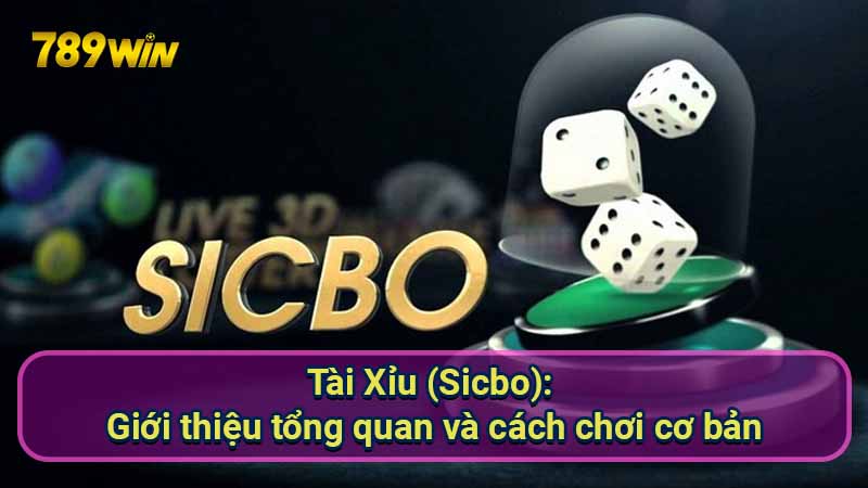 tai-xiu-(sicbo):-gioi-thieu-tong-quan-va-cach-choi-co-ban