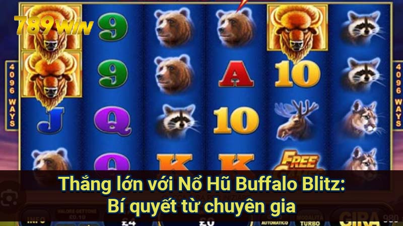 no-hu-buffalo-blitz