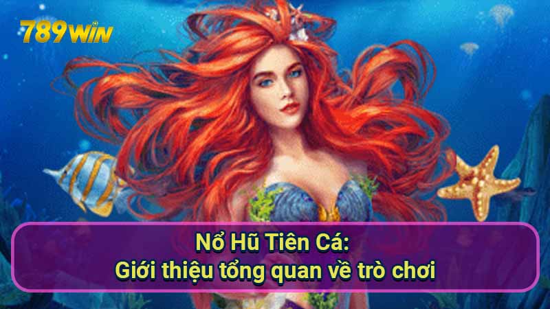 no-hu-tien-ca:-gioi-thieu-tong-quan-ve-tro-choi