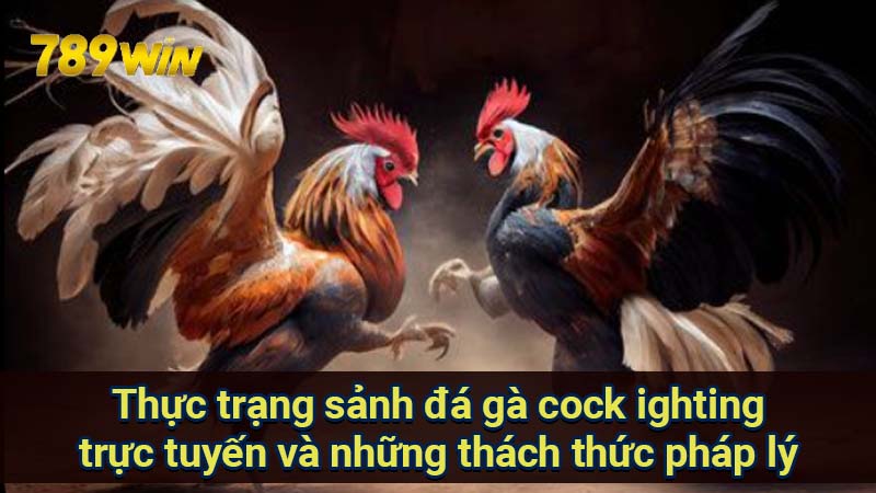 thuc-trang-sanh-da-ga-cock-ighting-truc-tuyen-va-nhung-thach-thuc-phap-ly