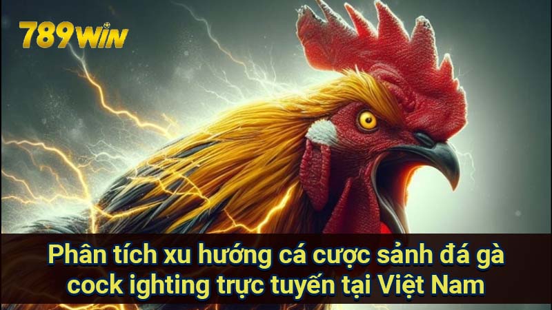 phan-tich-xu-huong-ca-cuoc-sanh-da-ga-cock-ighting-truc-tuyen-tai-viet-nam