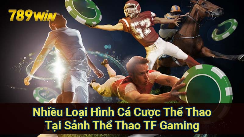 nhieu-loai-hinh-ca-cuoc-the-thao-tai-sanh-the-thao-tf-gaming